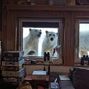 ���� ����, ��������, 30 ��� - ��������� 25 �������� 2024 � ������ ���� ����������