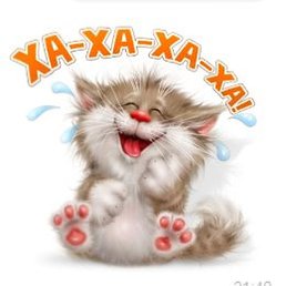 Dahysim, ������, 65 ���