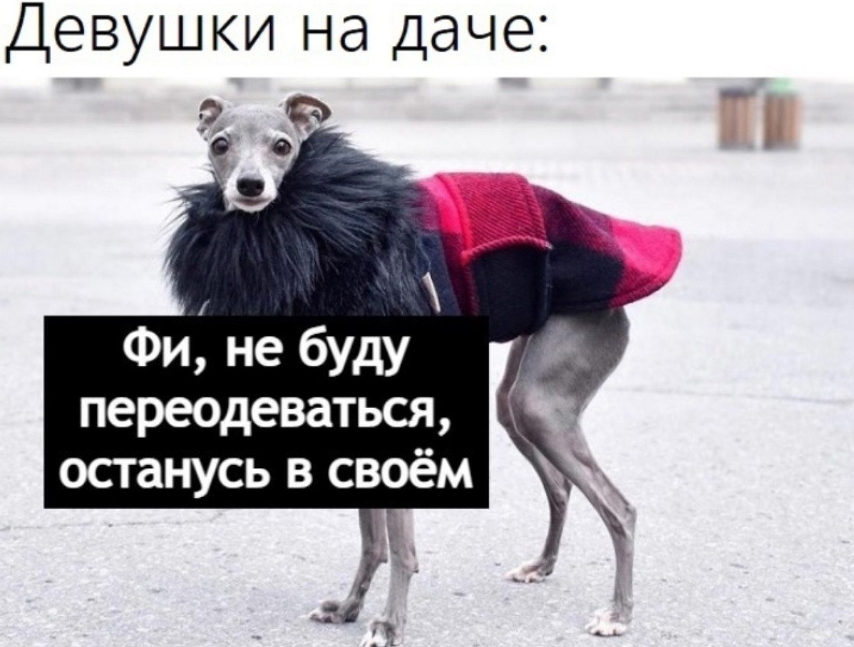  !