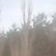 �������, 56 ���, �������