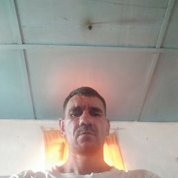, 41, 
