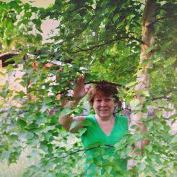 ������, ������, 63 ����