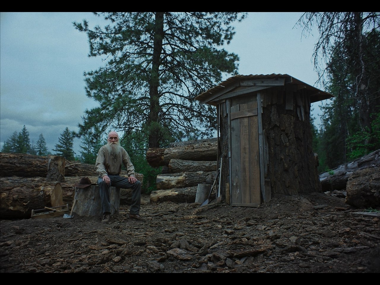 ��� ������� / Train Dreams, 2025.dir. Clint Bentley - 3