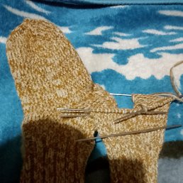 ���� ��������, ������, 56 ���