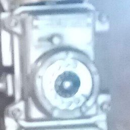 ���������, ������ �����, 37 ���