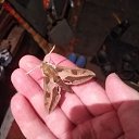 ���� ���������, ������, 48 ��� - ��������� 6 �������� 2024 � ������ ���� ����������
