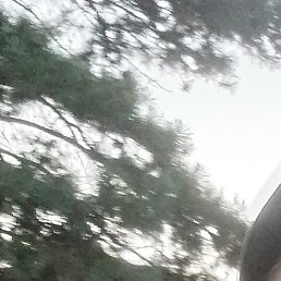 ����, �����������, 45 ���