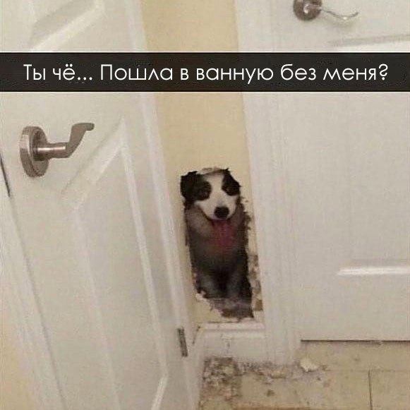 �� ���� ��������� ����� ���������