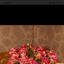 ���� ������ �� ���� ����, ������-��-����, 58 ��� - ��������� 17 ������ 2026 � ������ ���� ����������