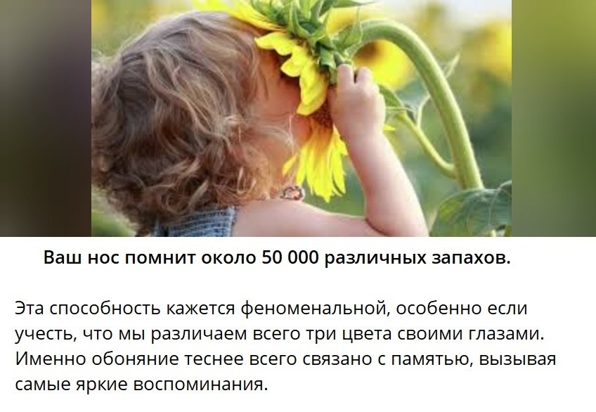 ОБО ВСЕМ - 6 октября 2025 в 19:14