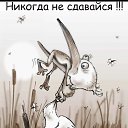 ���� ���, ������, 47 ��� - ��������� 8 ������ 2025