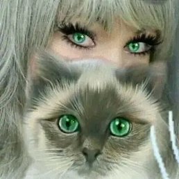 ��������, ������