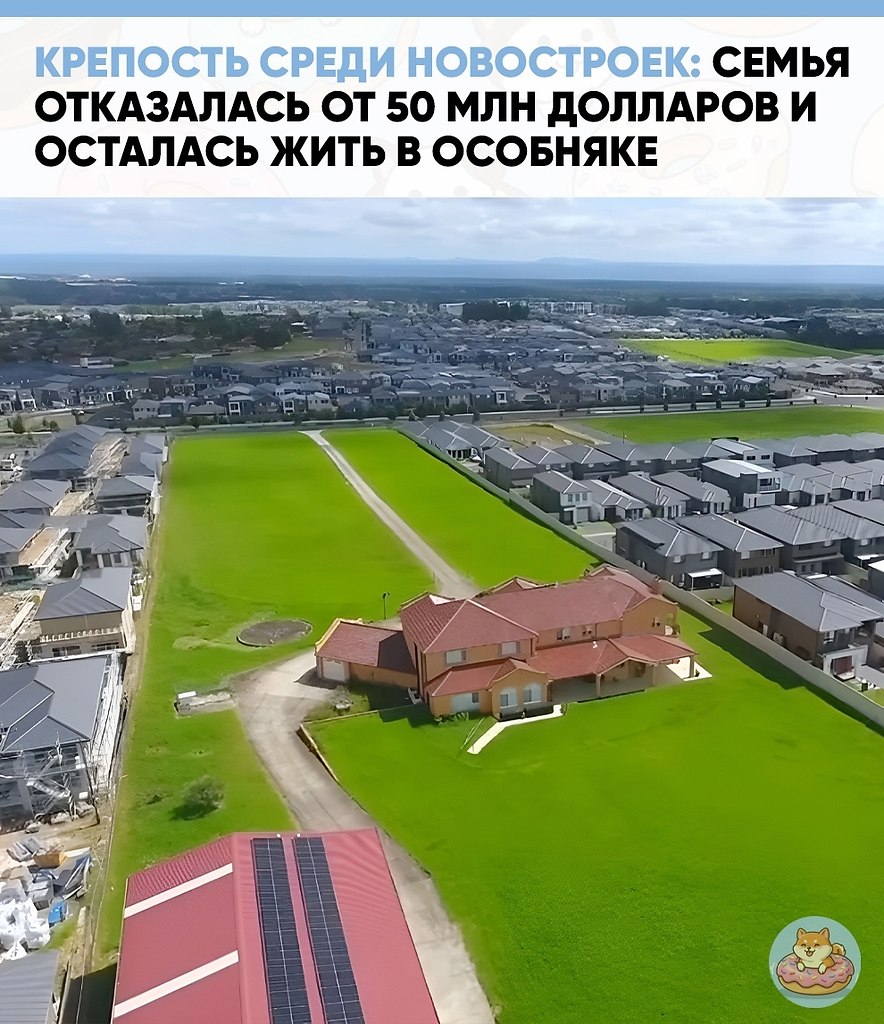 ����� �� ��������� ���������� �� 50 ��������� ��������. ������ ������ ��� ��� �� ���.� �������� ...