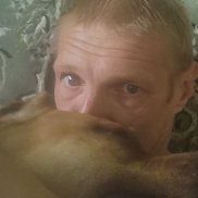 ˸�� ����, 41 ���, ������