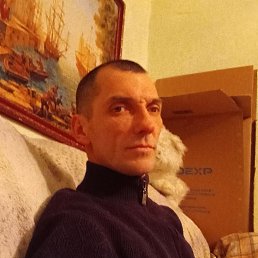 ������, 41 ���, ��������