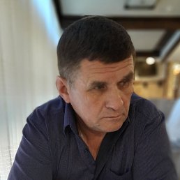, 65, 