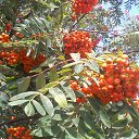 ���� ���������, �������� - ��������� 22 ������� 2025 � ������ �����