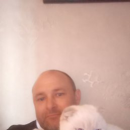 ����� ��������, ����������, 44 ����