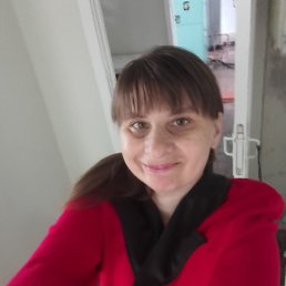 ���� ������, ������������, 49 ��� - ��������� 15 ���� 2026