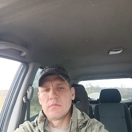 ������, 44 ����, �����������