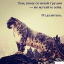  Kenigsberg(), , 52  -  7  2025    