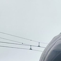 �����, �����, 44 ����