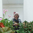 ���� �����, ����, 62 ���� - ��������� 14 ������ 2026 � ������ ���� ����������