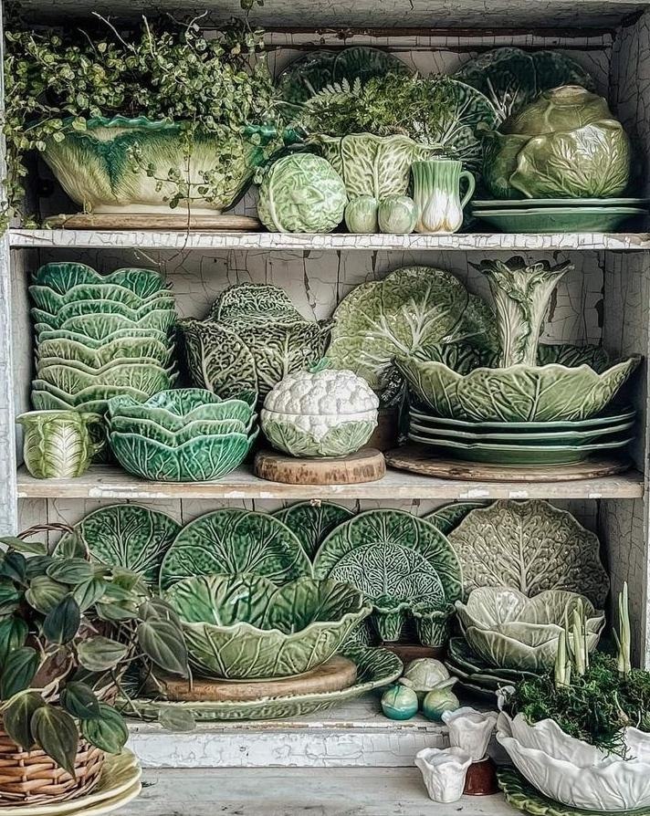 ���� ������� ��������� - 25 ������� 2026 � 15:36 - 6