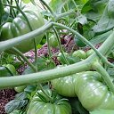 ���� ����, ������, 58 ��� - ��������� 7 ���� 2025 � ������ ���� ����������