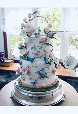 �����������