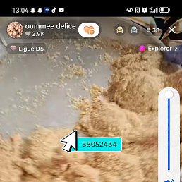 ���� Amelie, ����-���, 23 ���� - ��������� 16 ������ 2025