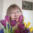 ���� ��������, ���������, 68 ��� - ��������� 8 ����� 2024 � ������ ���� ����������