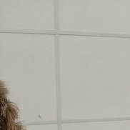 ����, 18 ���, ������