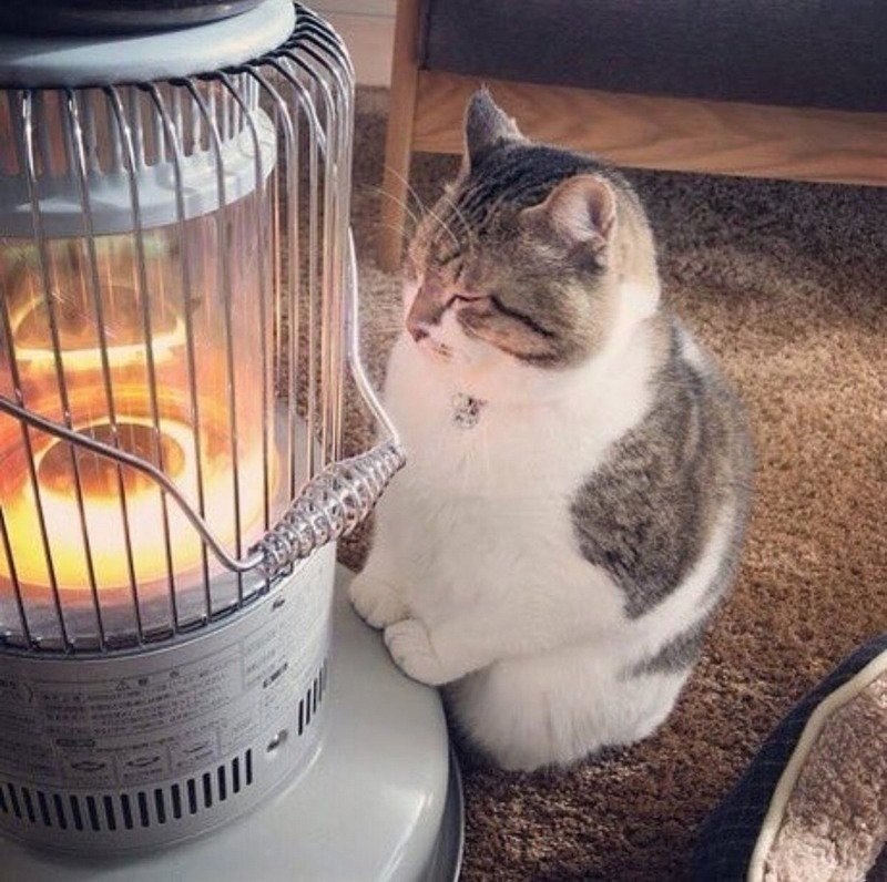   - 4