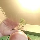 ���� ��������, �������, 57 ��� - ��������� 17 ������� 2026 � ������ ���� ����������