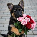 ���� ������, ���� - ��������� 12 ��� 2026 � ������ ������ ��������