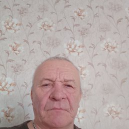, 63 , 