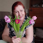 ������, 66 ���, ����������