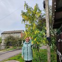 ���� ����, �����, 37 ��� - ��������� 25 ���� 2025 � ������ ���� ����������