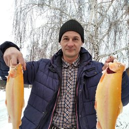 ������, 49 ���, �����