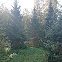 ���� &hearts;�����&hearts;, ����-��� - ��������� 13 ������ 2025 � ������ ������ ��������