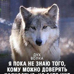 Baron, ����������, 39 ���