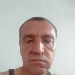 , 51, 