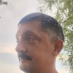 �������, ������, 46 ���