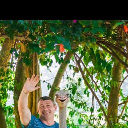 ����, ������, 55 ���