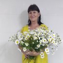���� ������, ����������, 62 ���� - ��������� 24 ��� 2025 � ������ ���� ����������