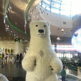 ���� Viktor, �����, 47 ��� - ��������� 14 ������� 2024