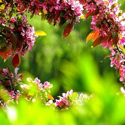 ���� Moise, ������, 29 ��� - ��������� 7 ���� 2024