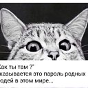 ���� ����, ������, 58 ��� - ��������� 1 ��� 2026 � ������ ������ ��������