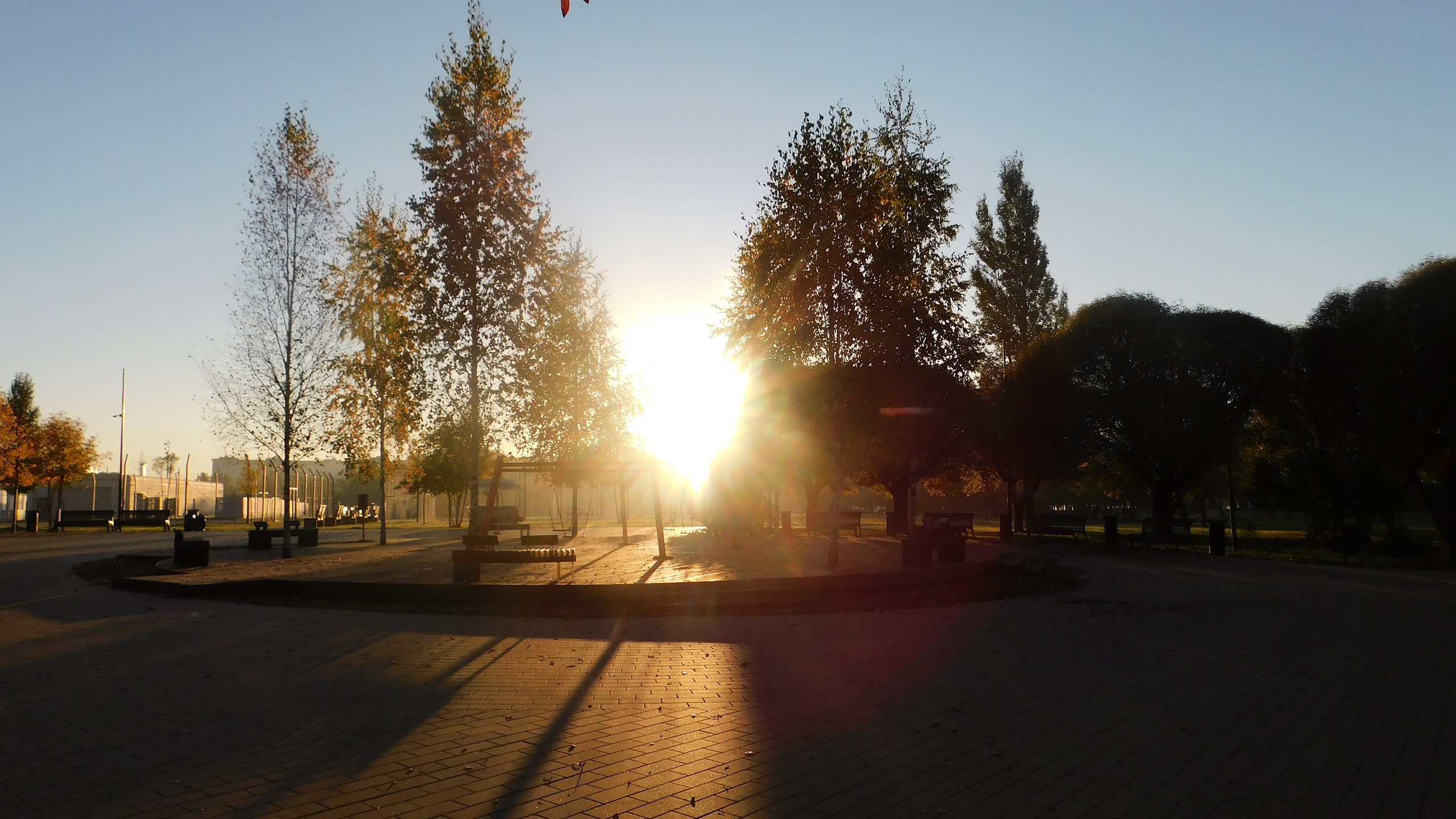 Helena ��� - 17 ������� 2026 � 11:59 - 6